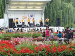 Lincoln Park Live! Music Series